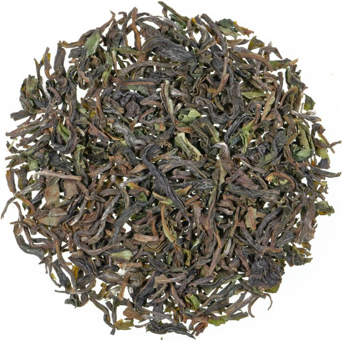 ambootia